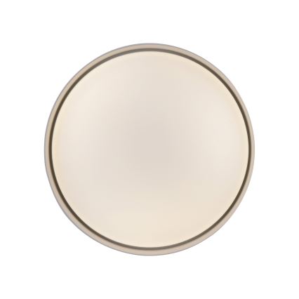 Schöner Wohnen 14593-39 - Luminaria de techo LED regulable TAVOLI LED/10W/230V 2700-6500K Ø 28,5 cm gris + mando a distancia