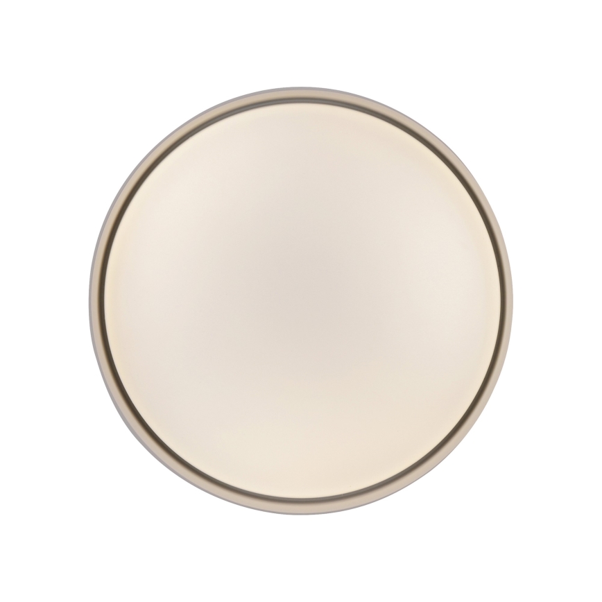 Schöner Wohnen 14593-39 - Luminaria de techo LED regulable TAVOLI LED/10W/230V 2700-6500K Ø 28,5 cm gris + mando a distancia