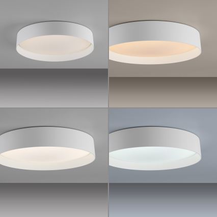 Schöner Wohnen 14594-16 - Luminaria LED de techo regulable TAVOLI LED/20W/230V 2700-6500K Ø 39 cm blanca + mando a distancia