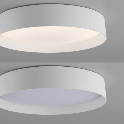 Schöner Wohnen 14594-16 - Luminaria LED de techo regulable TAVOLI LED/20W/230V 2700-6500K Ø 39 cm blanca + mando a distancia