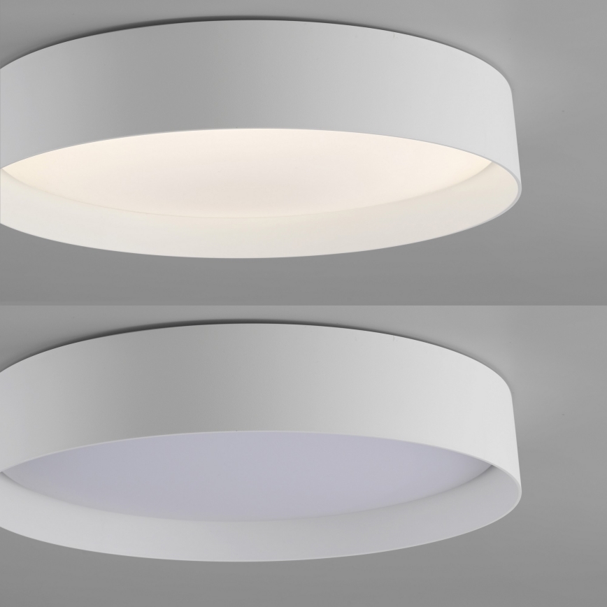 Schöner Wohnen 14594-16 - Luminaria LED de techo regulable TAVOLI LED/20W/230V 2700-6500K Ø 39 cm blanca + mando a distancia