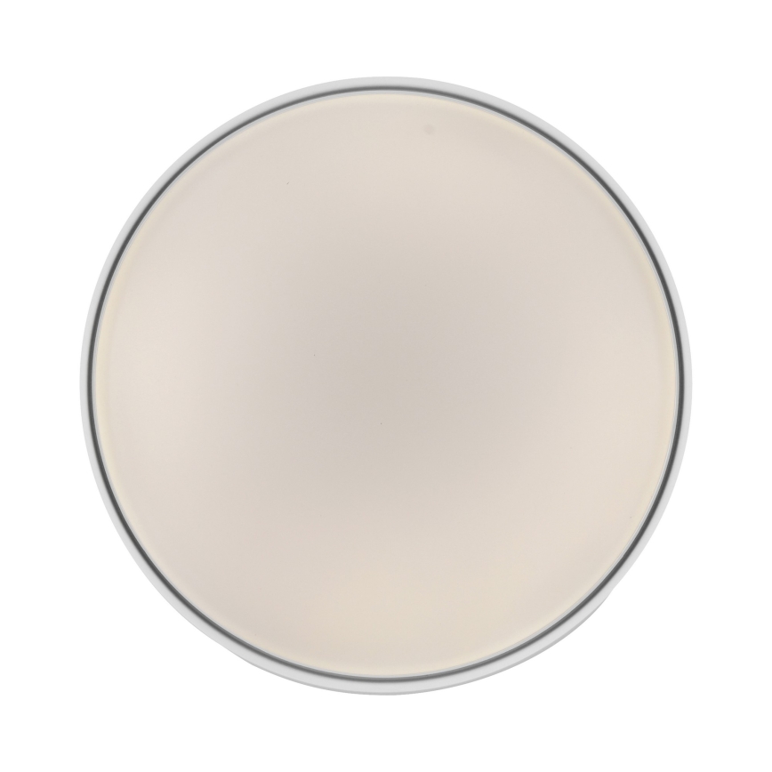 Schöner Wohnen 14594-16 - Luminaria LED de techo regulable TAVOLI LED/20W/230V 2700-6500K Ø 39 cm blanca + mando a distancia