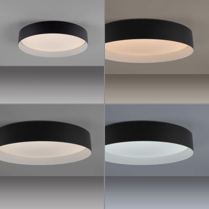 Schöner Wohnen 14594-18 - Plafón LED regulable TAVOLI, 20 W, 230 V, 2700–6500 K, Ø 39 cm, negro, con mando a distancia