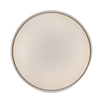 Schöner Wohnen 14594-39 - Lámpara de techo LED regulable TAVOLI LED/20W/230V 2700-6500K, diámetro 39 cm, gris + mando a distancia