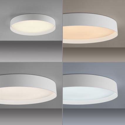 Schöner Wohnen 14595-16 - Plafón de techo LED regulable TAVOLI LED/34W/230V 2700-6500K diámetro 49 cm blanco + mando a distancia