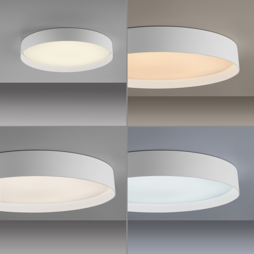 Schöner Wohnen 14595-16 - Plafón de techo LED regulable TAVOLI LED/34W/230V 2700-6500K diámetro 49 cm blanco + mando a distancia