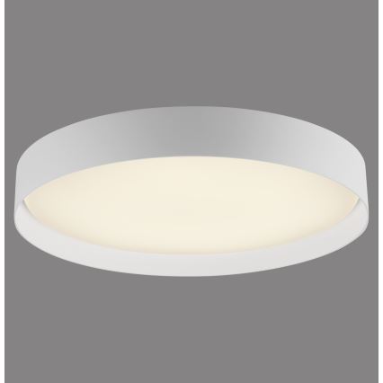 Schöner Wohnen 14595-16 - Plafón de techo LED regulable TAVOLI LED/34W/230V 2700-6500K diámetro 49 cm blanco + mando a distancia