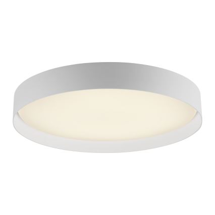 Schöner Wohnen 14595-16 - Plafón de techo LED regulable TAVOLI LED/34W/230V 2700-6500K diámetro 49 cm blanco + mando a distancia