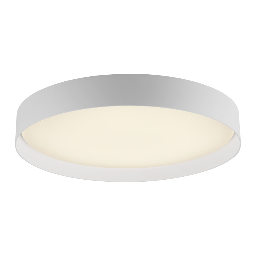 Schöner Wohnen 14595-16 - Plafón de techo LED regulable TAVOLI LED/34W/230V 2700-6500K diámetro 49 cm blanco + mando a distancia