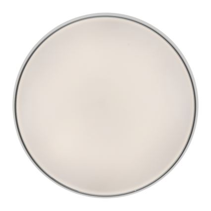 Schöner Wohnen 14595-16 - Plafón de techo LED regulable TAVOLI LED/34W/230V 2700-6500K diámetro 49 cm blanco + mando a distancia