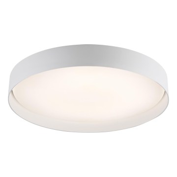 Schöner Wohnen 14595-16 - Plafón de techo LED regulable TAVOLI LED/34W/230V 2700-6500K diámetro 49 cm blanco + mando a distancia