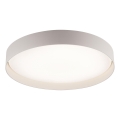 Schöner Wohnen 14595-39 - Luminaria de techo LED regulable TAVOLI LED/34W/230V 2700-6500K Ø 49 cm gris + mando a distancia