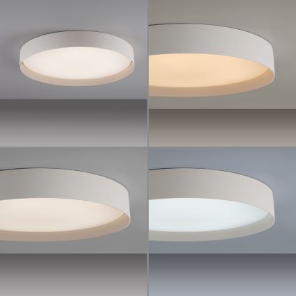 Schöner Wohnen 14595-39 - Luminaria de techo LED regulable TAVOLI LED/34W/230V 2700-6500K Ø 49 cm gris + mando a distancia