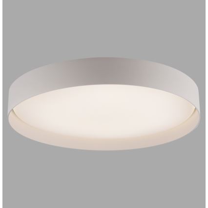 Schöner Wohnen 14595-39 - Luminaria de techo LED regulable TAVOLI LED/34W/230V 2700-6500K Ø 49 cm gris + mando a distancia