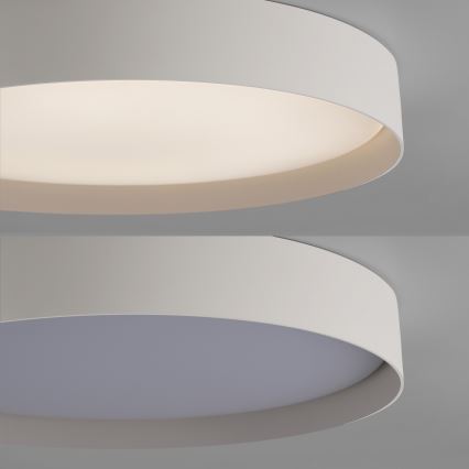 Schöner Wohnen 14595-39 - Luminaria de techo LED regulable TAVOLI LED/34W/230V 2700-6500K Ø 49 cm gris + mando a distancia