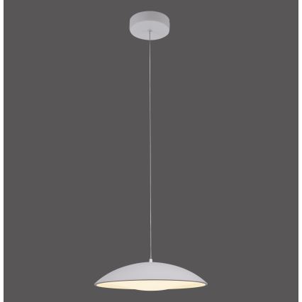 Schöner Wohnen 14606-16 - Lámpara colgante regulable con cable LENTE LED/17W/230V Ø 40 cm blanca