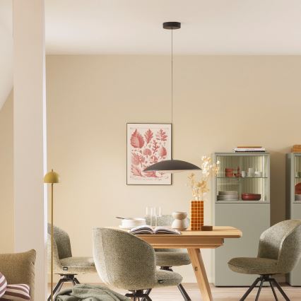 Schöner Wohnen 14606-18 - LENTE lámpara colgante LED regulable suspendida por cable LED/17W/230V Ø 40 cm negra