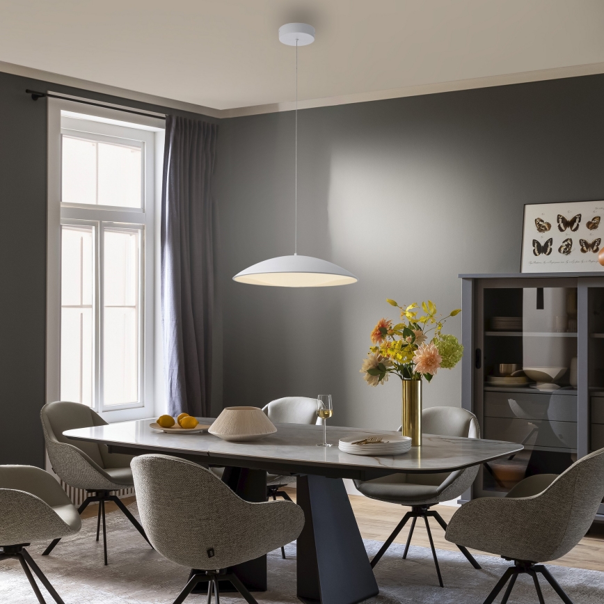 Schöner Wohnen 14607-16 - Lámpara colgante LED regulable con cable LENTE LED/23W/230V diámetro 50 cm blanco