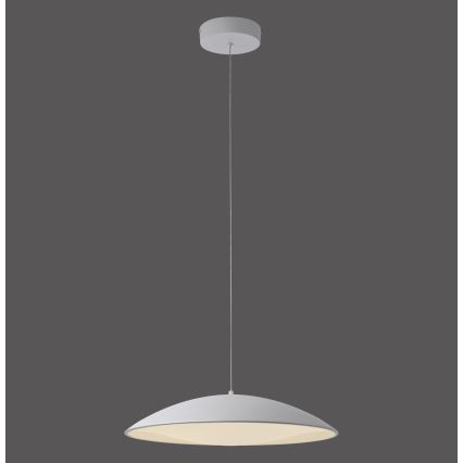 Schöner Wohnen 14607-16 - Lámpara colgante LED regulable con cable LENTE LED/23W/230V diámetro 50 cm blanco
