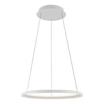 Schöner Wohnen 15570-16 - Lámpara colgante regulable con cable QUILLO LED/36W/230V Ø 60 cm blanca
