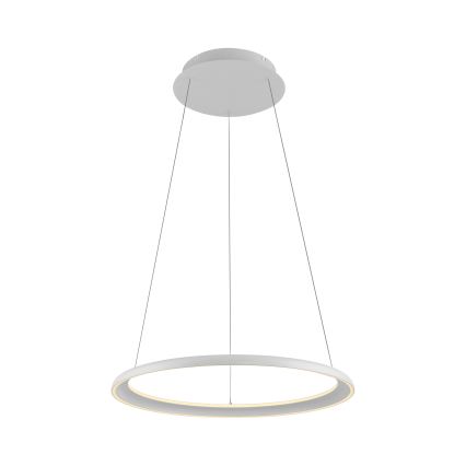 Schöner Wohnen 15570-16 - Lámpara colgante regulable con cable QUILLO LED/36W/230V Ø 60 cm blanca