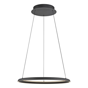 Schöner Wohnen 15570-18 - Lámpara colgante LED regulable con cable QUILLO LED/36W/230V Ø 60 cm negra