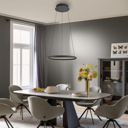 Schöner Wohnen 15570-18 - Lámpara colgante LED regulable con cable QUILLO LED/36W/230V Ø 60 cm negra