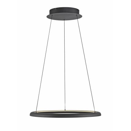 Schöner Wohnen 15570-18 - Lámpara colgante LED regulable con cable QUILLO LED/36W/230V Ø 60 cm negra