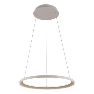 Schöner Wohnen 15570-39 - Lámpara colgante LED regulable con cable de suspensión QUILLO LED/36W/230V Ø 60 cm gris