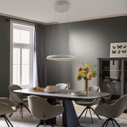 Schöner Wohnen 15570-39 - Lámpara colgante LED regulable con cable de suspensión QUILLO LED/36W/230V Ø 60 cm gris