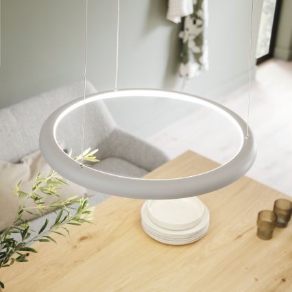 Schöner Wohnen 15570-39 - Lámpara colgante LED regulable con cable de suspensión QUILLO LED/36W/230V Ø 60 cm gris