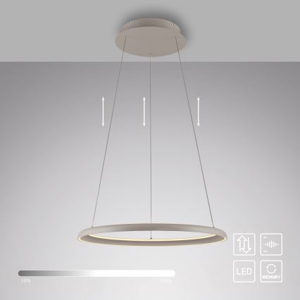 Schöner Wohnen 15570-39 - Lámpara colgante LED regulable con cable de suspensión QUILLO LED/36W/230V Ø 60 cm gris