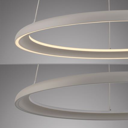 Schöner Wohnen 15570-39 - Lámpara colgante LED regulable con cable de suspensión QUILLO LED/36W/230V Ø 60 cm gris