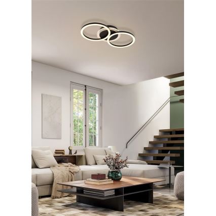 Searchlight - Lámpara de techo LED regulable CONTOUR LED/24W/230V 3000K