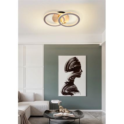 Searchlight - Luminaria LED de techo regulable SPECS LED/24W/230V 3000K 25x42,5 cm