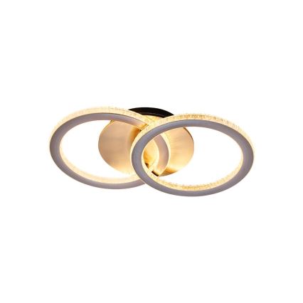 Searchlight - Luminaria LED de techo regulable SPECS LED/24W/230V 3000K 25x42,5 cm