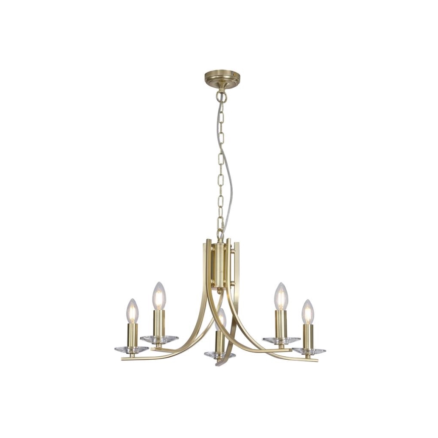 Searchlight - Lámpara colgante con cadena ASCONA 5xE14/60W/230V