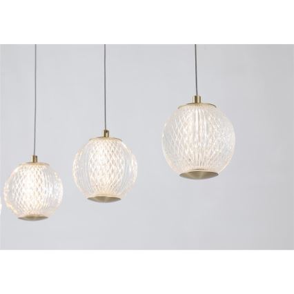 Searchlight - Lámpara colgante LED suspendida por cable ALLURE 5xLED/4,2W/230V