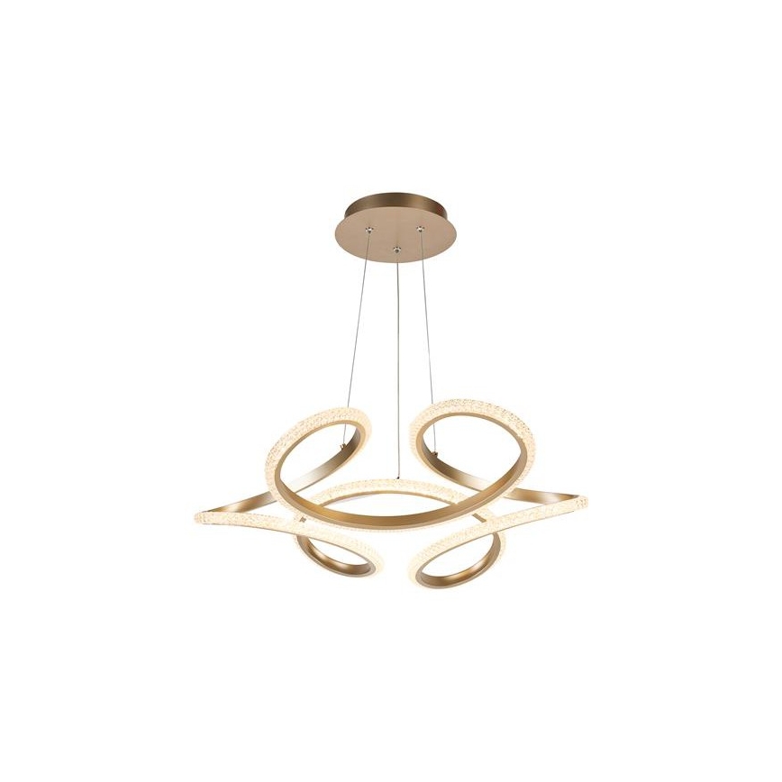 Searchlight - Lámpara colgante LED regulable sobre cable DOODLE LED/40W/230V latón