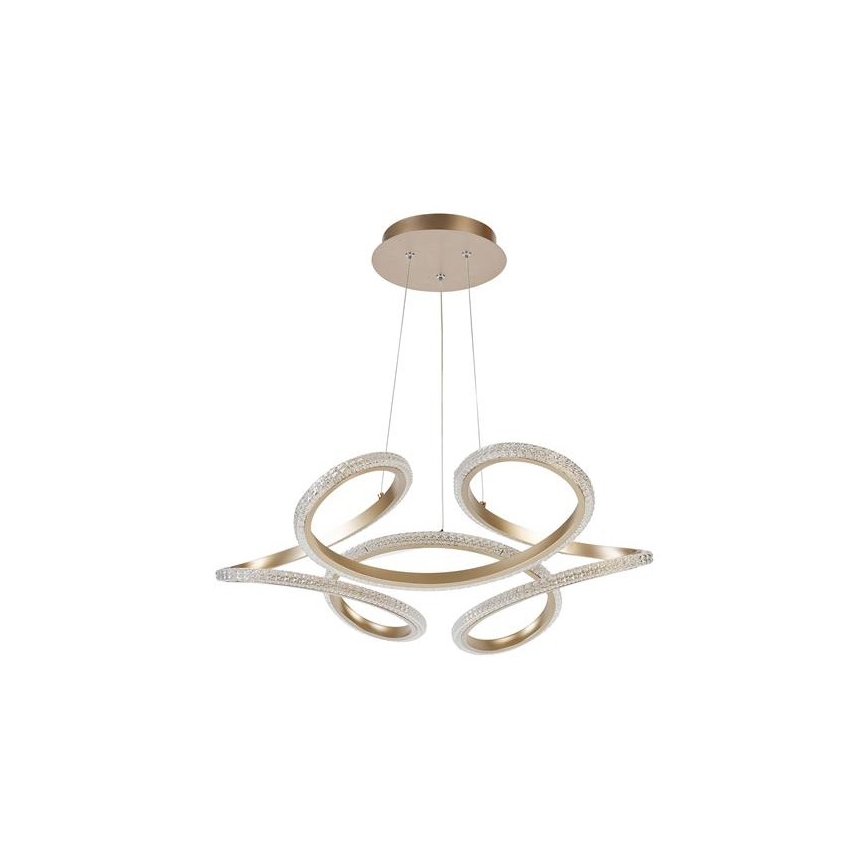 Searchlight - Lámpara colgante LED regulable sobre cable DOODLE LED/40W/230V latón