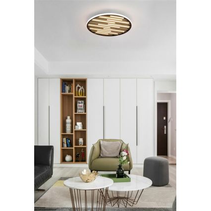 Searchlight - Lámpara de techo LED regulable EQUALISE LED/33W/230V