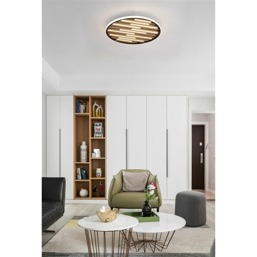 Searchlight - Lámpara de techo LED regulable EQUALISE LED/33W/230V