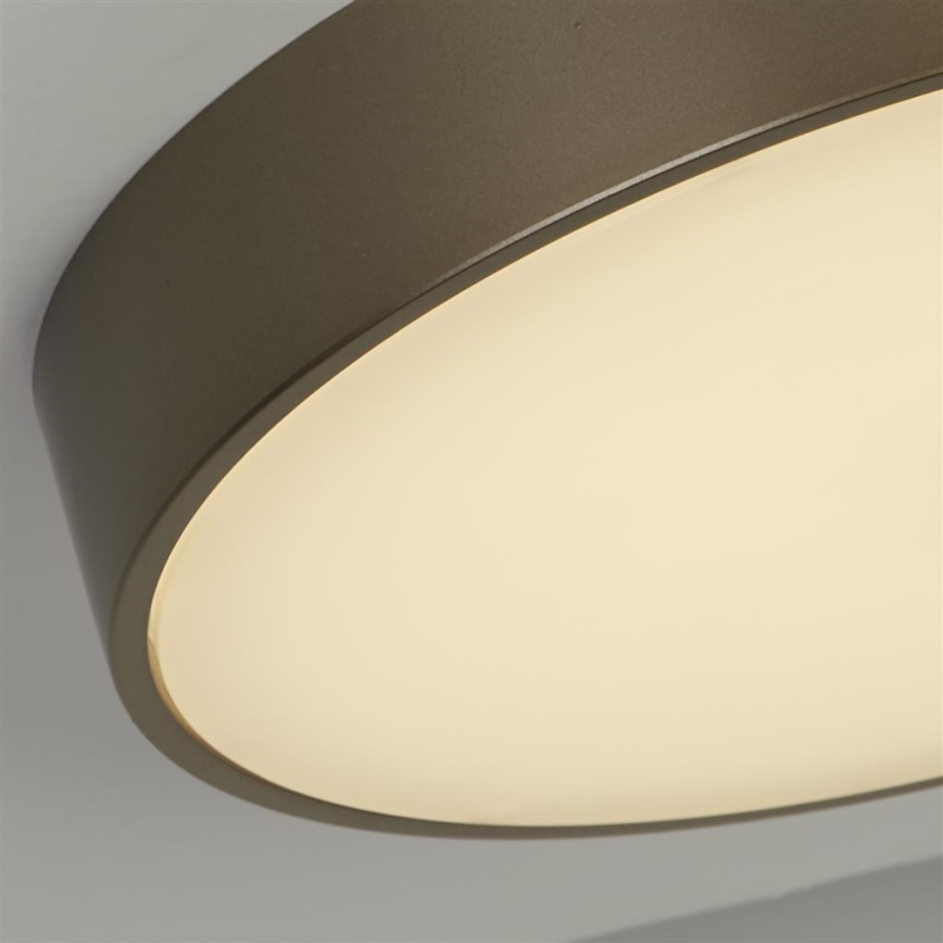 Searchlight - Lámpara de techo LED PALMA LED/12 W/230 V/3000 K Ø 25 cm acabado bronce