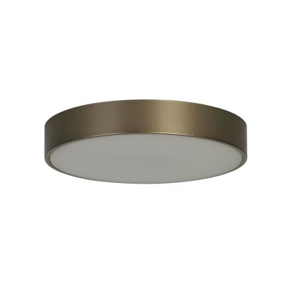 Searchlight - Lámpara de techo LED PALMA LED/12 W/230 V/3000 K Ø 25 cm acabado bronce