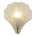 Searchlight - Aplique de pared SHELL 1xG9/7W/230V blanco