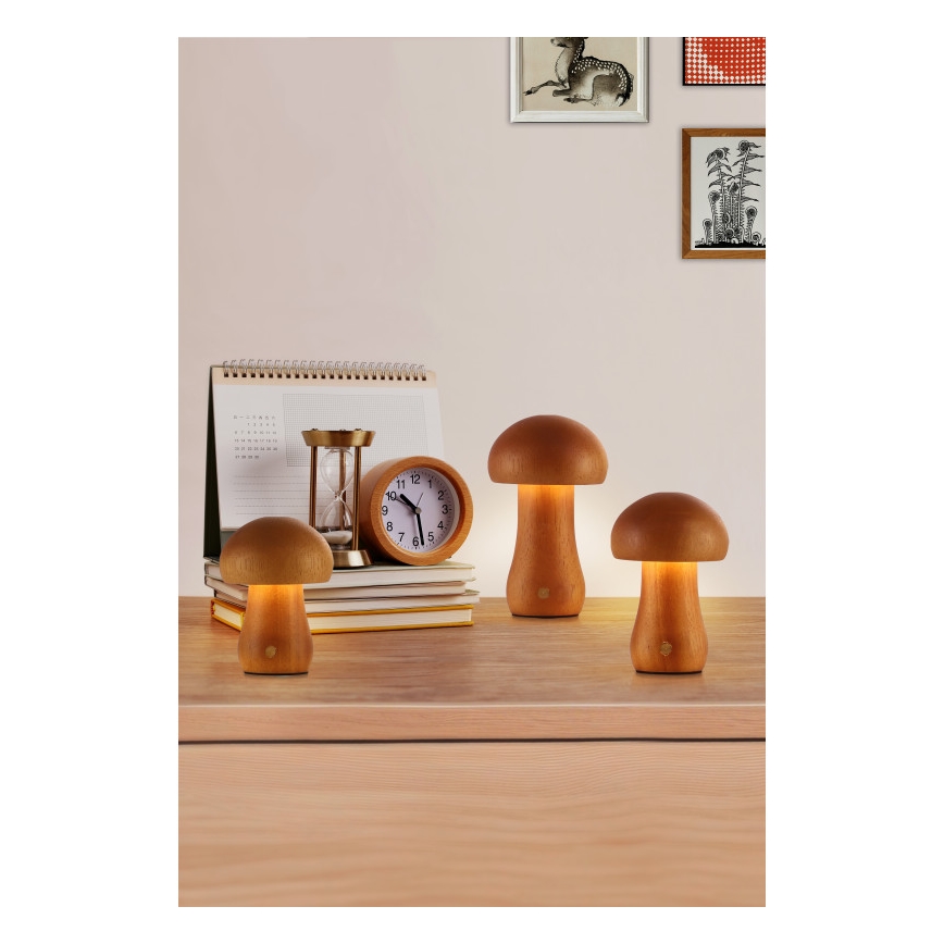 Searchlight - Juego de 3 lámparas de mesa LED MUSHROOM LED/1,1W/5V 800 mAh