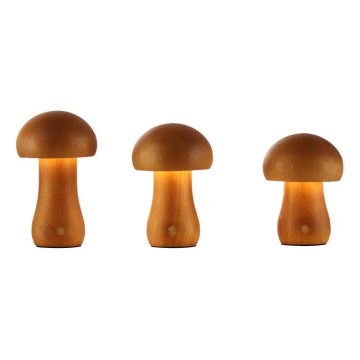 Searchlight - Juego de 3 lámparas de mesa LED MUSHROOM LED/1,1W/5V