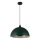 Searchlight - Lámpara colgante con cable MARS 1xE27/60W/230V Ø 25 cm verde
