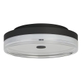 Searchlight - Lámpara de techo LED CYPRUS LED/29W/230V diámetro 40 cm negra