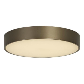 Searchlight - Lámpara de techo LED PALMA LED/12 W/230 V/3000 K Ø 25 cm acabado bronce